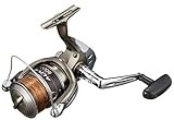 SHIMANO ALIVIO 8000 Spinning Reel [Japan Import]