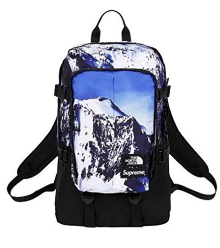 backpack supreme the north face
