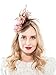 Fascinators Headband for Women Tea Party Hat Kentucky Derby Wedding Flower Mesh Feathers Hair Clip (Coffee)