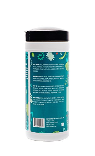 Aunt Fannie’s All Purpose Cleaning Vinegar Wipes (35 Count Canister); Multipurpose Surface Wipes (Eucalyptus)