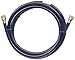 Trident Marine 1014-3838-360 L.P. Gas Supply Line Hose, 30', Brass Fittings
