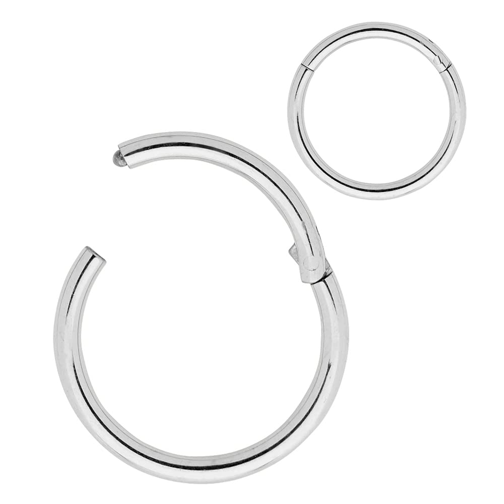 365 SLEEPERS 316L Surgical Steel Hypoallergenic Nose Rings Septum Jewellery Hinged Segment Ring Body Piercing Hoop Lip Rings Helix Cartilage Rook Earrings (6G 20mm)
