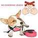 Babyltrl Retractable Dog Leash, 360° Tangle-Free Dog Leashes for Medium and Large Dogs up to 110lbs, 16ft Chew-Proof Reflective Nylon Cord with Anti-Slip Handle, One-Handed Brake, Pause, Lock