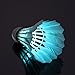 Newdora [6 Pack] Colorful LED Badminton Set Shuttlecock Dark Night Glow Birdies Lighting for Outdoor/Indoor Sports Activities Badminton Nets