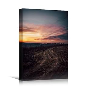 signwin Canvas Wall Art Landscape Sunset Bedroom Contemporary...