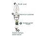 ELETA 6 Pack E12 LED Candelabra / Chandelier Bulbs, Daylight 6000 Kelvin, 3W Equivalent to 25W, 250 Lumens, Non-Dimmable, Silver Color Shell, Bullet Shape