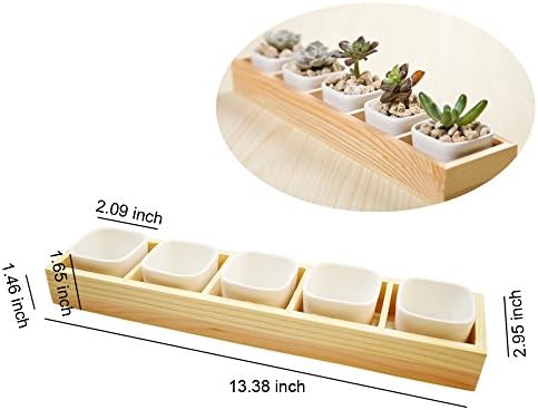 White ceramic Plant Container with Wooden Plant Container Box Tray , Succulent Planter Pot perfect for in your home or office table decoration.