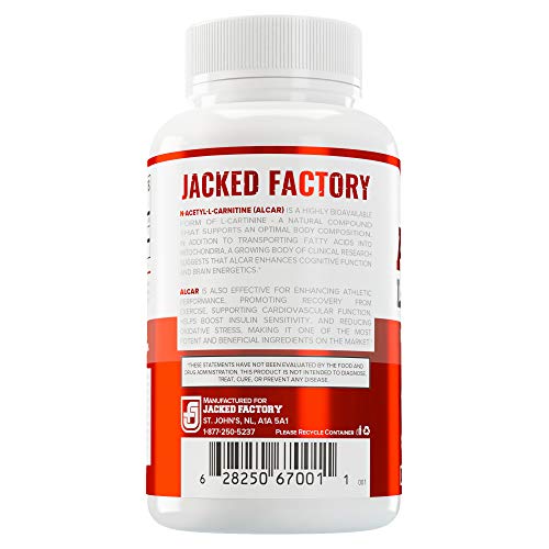 1 Acetyl+Carnitine+ALCAR+Supplement+L+Carnitine