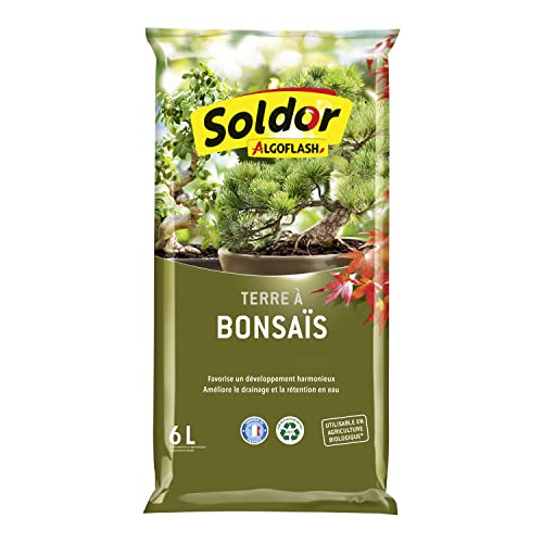 Algoflash Terre à Bonsaïs, UAB, Prêt à l'Emploi, Fabriqué en France, 6 L, TBONZ6