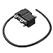 Ignition Coil Engine Module for Echo ES-250 PB-250 PB250LN PB252 A411000501 A411000500