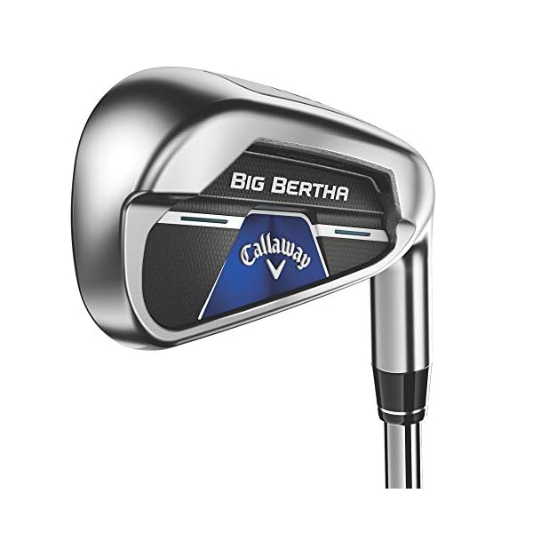 Callaway Big Bertha B21 Iron Set - Image 4