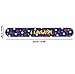 48pcs Slap Bracelets Party Favors 12 Different Designs with Patriotic USA Flag Stars Slap Bands