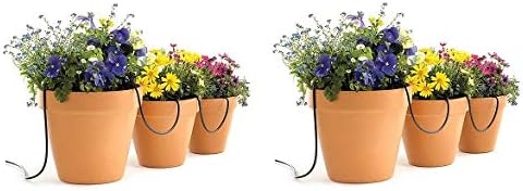 Raindrip R560DP Containr and Hang Basket Kit (2-(Pack))