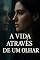 Livro A VIDA ATRAVÉS DE UM OLHAR