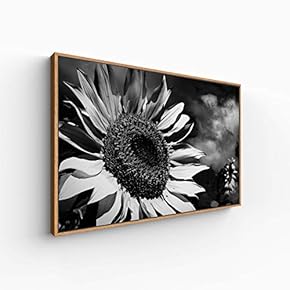 Canvas Wall Art for Living Room, Bedroom Monochrome Plants Framed Canvas Prints for Home Decoration Ready to Hang - 16x24 inches