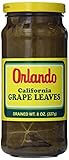 Orlando Grape Leaves 8 0z (Pack of 2)