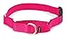PetSafe Martingale Dog Collar with Quick-Snap Buckle - Large, 1 Inch, Raspberry