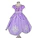 Dressy Daisy Toddler Girls' Princess Dress Up Costume Cosplay Fancy Party Long Dress Size 3T - 4T