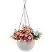 YIKUSH Hanging Planter 8.66 in Round Decor Garden Rattan Plastic Flower Pot Basket for Plant,White