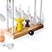 Rube Goldberg - The Trick Shot Challenge