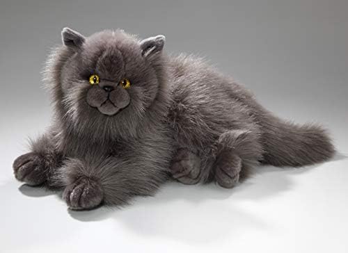 gray domestic longhair cat