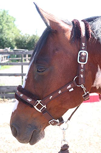 Equipride Horse Print Faux Lined Nylon Headcollars with Matching Lead Rope Browm (Pony)