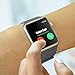 RUOQINI Compatible with Apple Watch Band 44mm [Series 4] 42mm [Series 3/2/1],Strong Magnetic Closure Leather Loop Replacement Starp Compatible for iWatch,Gray,L