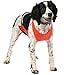 Mendota Pet Skid Plate Dog Chest Protector, Orange, Large