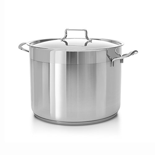 Ybmhome Hascevher Classic Stainless Steel Chef's Induction Compatible Stockpot Covered Multi