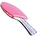 DHS X4002 4-Star Table Tennis Racket (Shakehand)