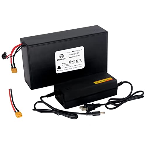 48V 15AH Lithinum ion Battery with 20A BMS and 3A