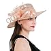 Dantiya Womens Organza Wide Brim Floral Feather Ribbon Kentucky Derby Church Dress Sun Hat, Flesh Pink Free