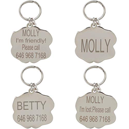 Blueberry Pet 2020 New Personalized Dog and Cat ID Tags, Sparkling Pink Camellia Flower Front