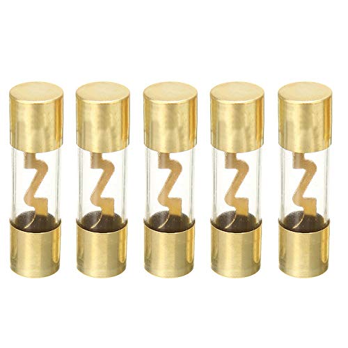ESUPPORT 5 X 60A AGU Fuse 10X38mm Car Audio Power