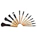 Glow 12 Make up Brushes Set in Leopard Print Case