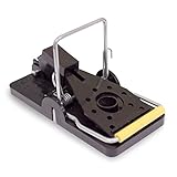 Killer Green Snap Mice Traps - Easily Kills Rats, Mouse and Other Small Varmints - 6 Pack