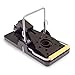 Killer Green Snap Mice Traps - Easily Kills Rats, Mouse and Other Small Varmints - 6 Pack