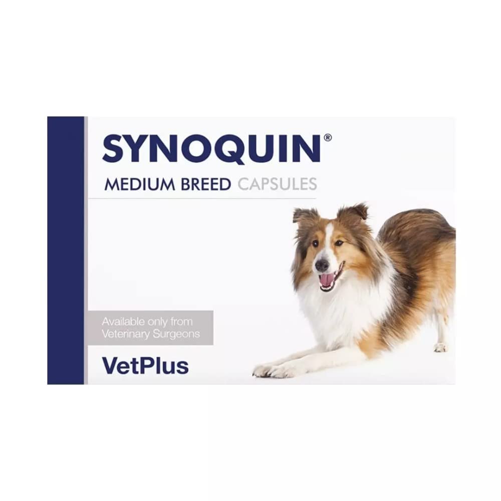 Synoquin Medium Breed - Dogs 10-25kg x 1