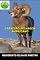 Livro Carneiro-selvagem Americano