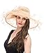 SAFERIN Women's Organza Church Kentucky Derby Hat Feather Veil Fascinator Bridal Tea Party Wedding Hat (SF4-Champagne)