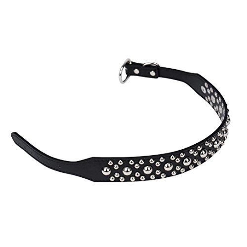 Fabal New Rivet Studded Dog Collar Medium Large Pet Dog Pitbull Bully Terrier Collars (M, Black)