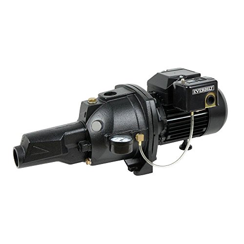 Everbilt Pump