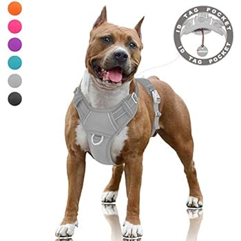 BARKBAY No Pull Dog Harness Large Step in Reflective Dog Harness with Front Clip and Easy Control Handle for Walking Training Running with ID tag Pocket