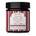 Shea Terra Organics Rose Hips Replenish Face Crème | Daily Moisturizer Spa Treatment | All Skin Types – 2 oz