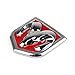 Areyourshop Head Grill Emblem Badge Sticker Decal Chromed Metal For Dodge Ram 6 x 6.6 CM(2.40 x 2.60 Inch), Red