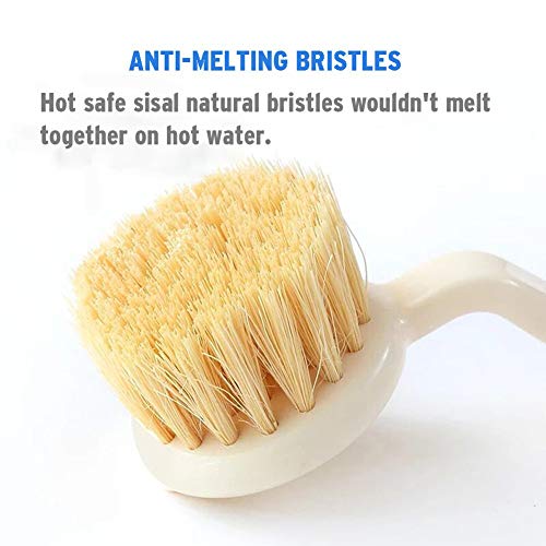 Amazer Dish Brush Kitchen Scrub Brushes with Sturdy Offset Handle Anti-melting Bristles for Dishes Cleaning- Set of 2