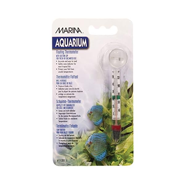 Marina Aquarium Floating Glass Thermometer with Sucker, Transparent
