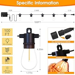 Outdoor String Lights with Remote - Dimmable 100FT