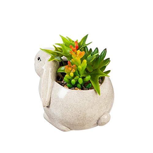 Cypress-Home-Ceramic-Rabbit-Planter-with-Succulent-6-x-5-x-4-Inches