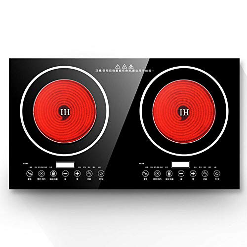 Double Induction Cooktop Portable 110V Electric 2 Digital Dual